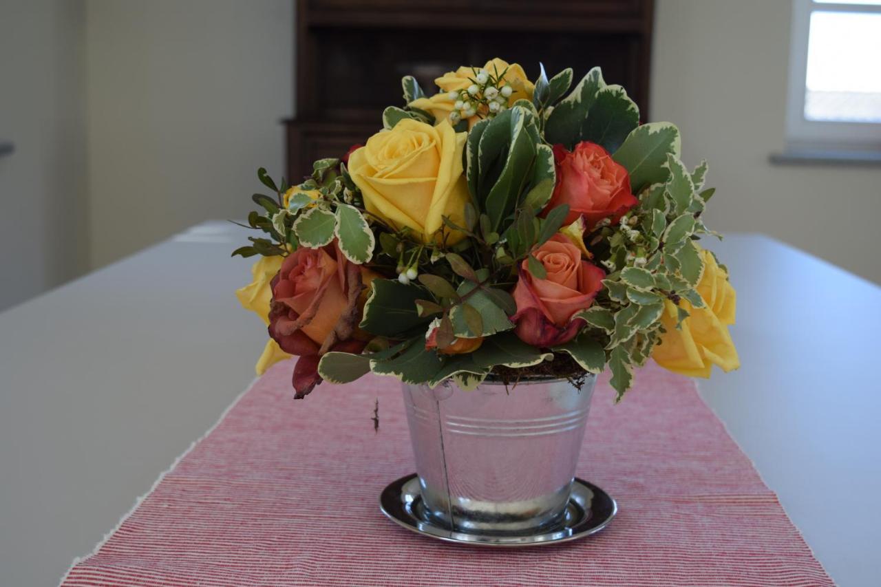 Palazzo Canavese Myvilla Suites מראה חיצוני תמונה