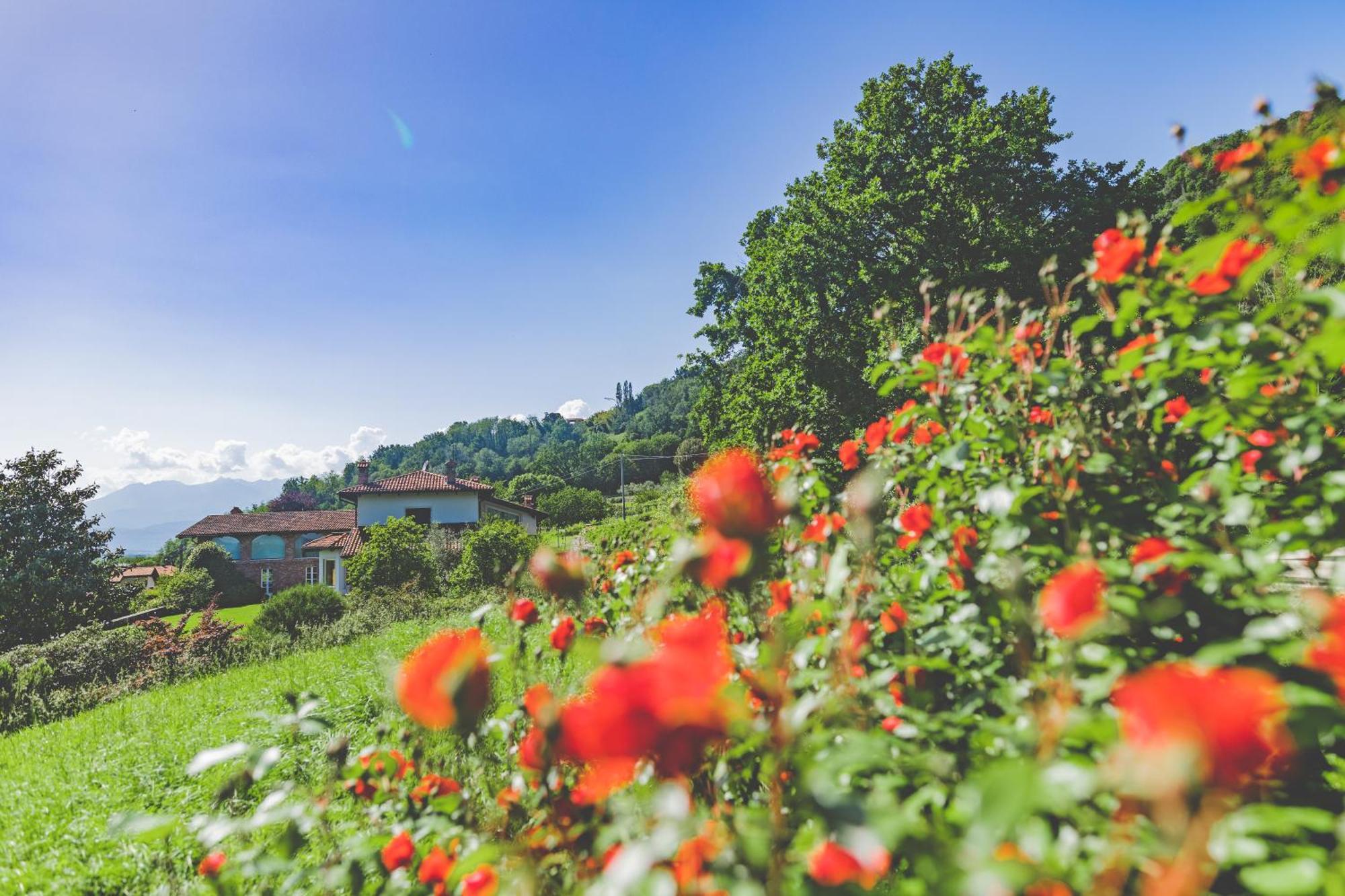 Palazzo Canavese Myvilla Suites מראה חיצוני תמונה