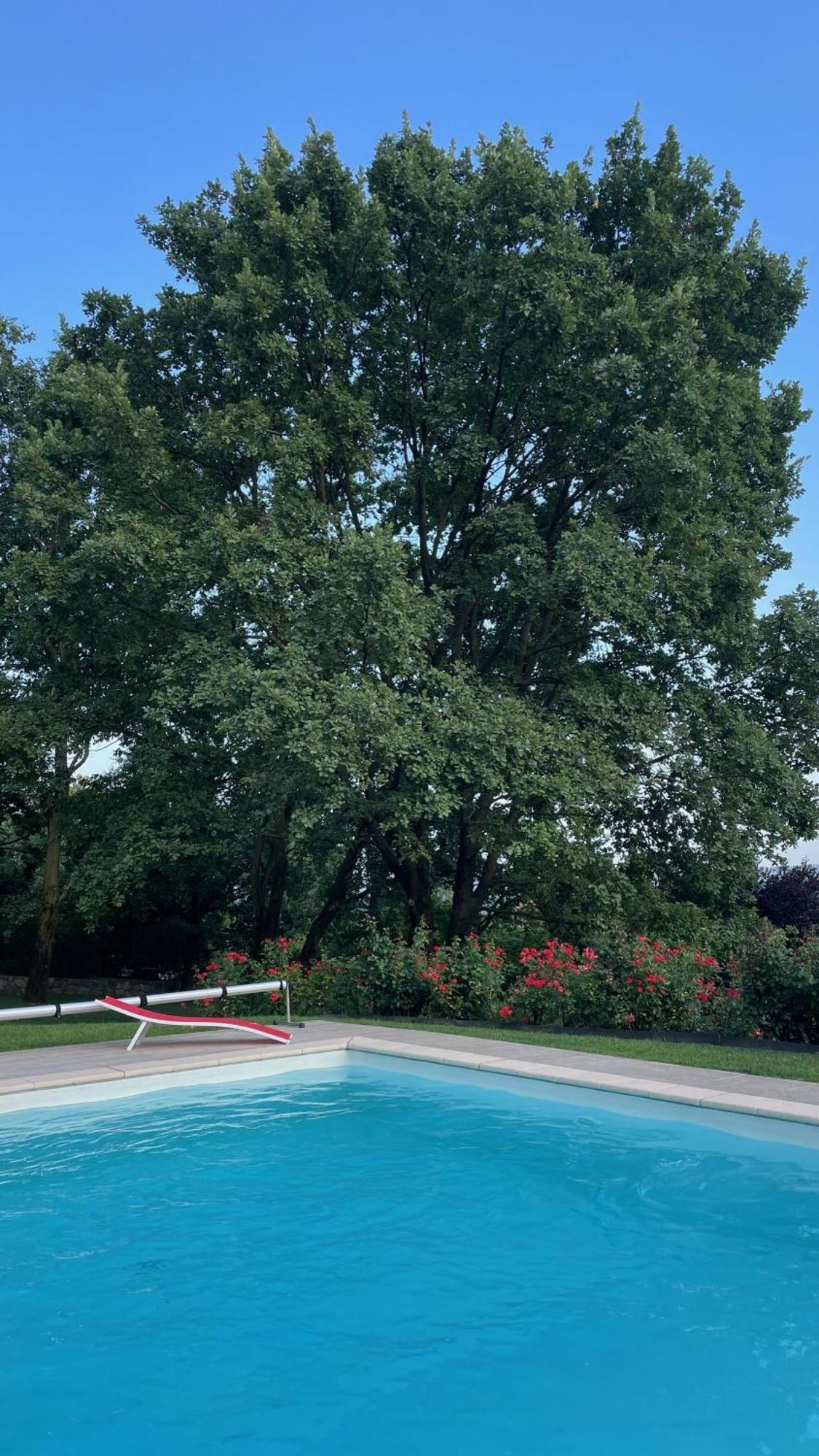 Palazzo Canavese Myvilla Suites מראה חיצוני תמונה